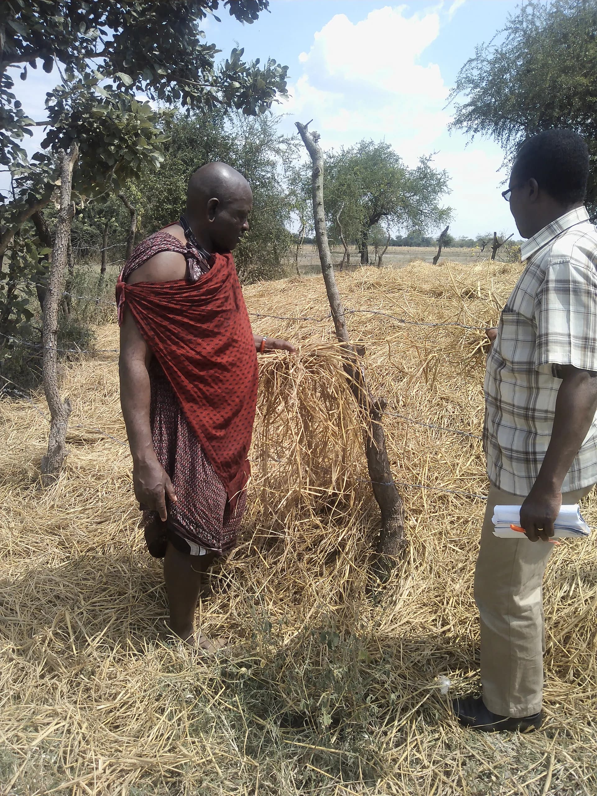 Pastoralist using modern livestock-keeping methods learned through TISER education